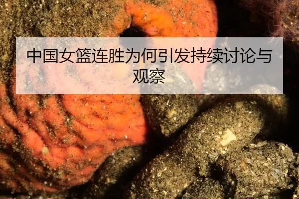 zhong-guo-nv-lan-lian-sheng-wei-he-yin-fa-chi-xu-tao-lun-yu-guan-cha-2-462.jpg